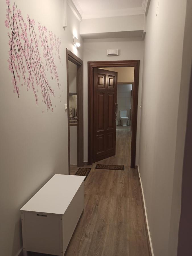 Studio 11 Kavála Luaran gambar